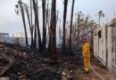 Se registra fuerte incendio forestal