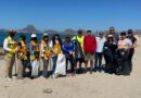 Realizan limpieza en bahía Delfín