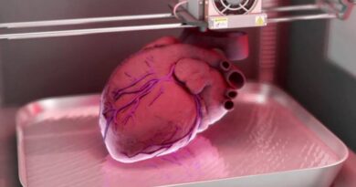Científicos logran crear órganos humanos en miniatura con funciones más complejas