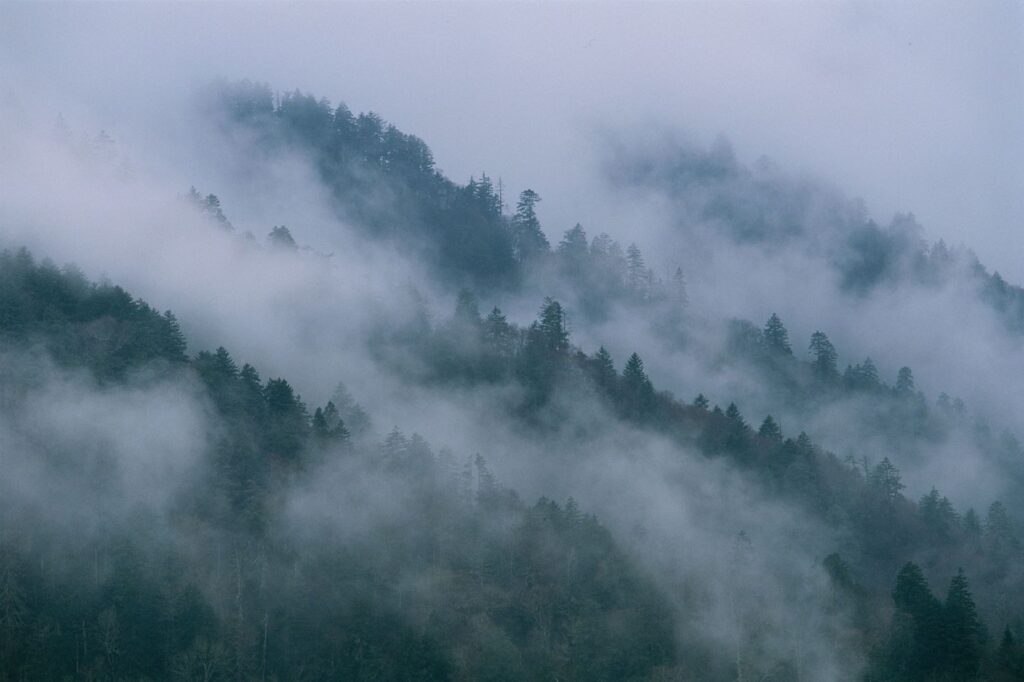 nationalgeographic 2184734