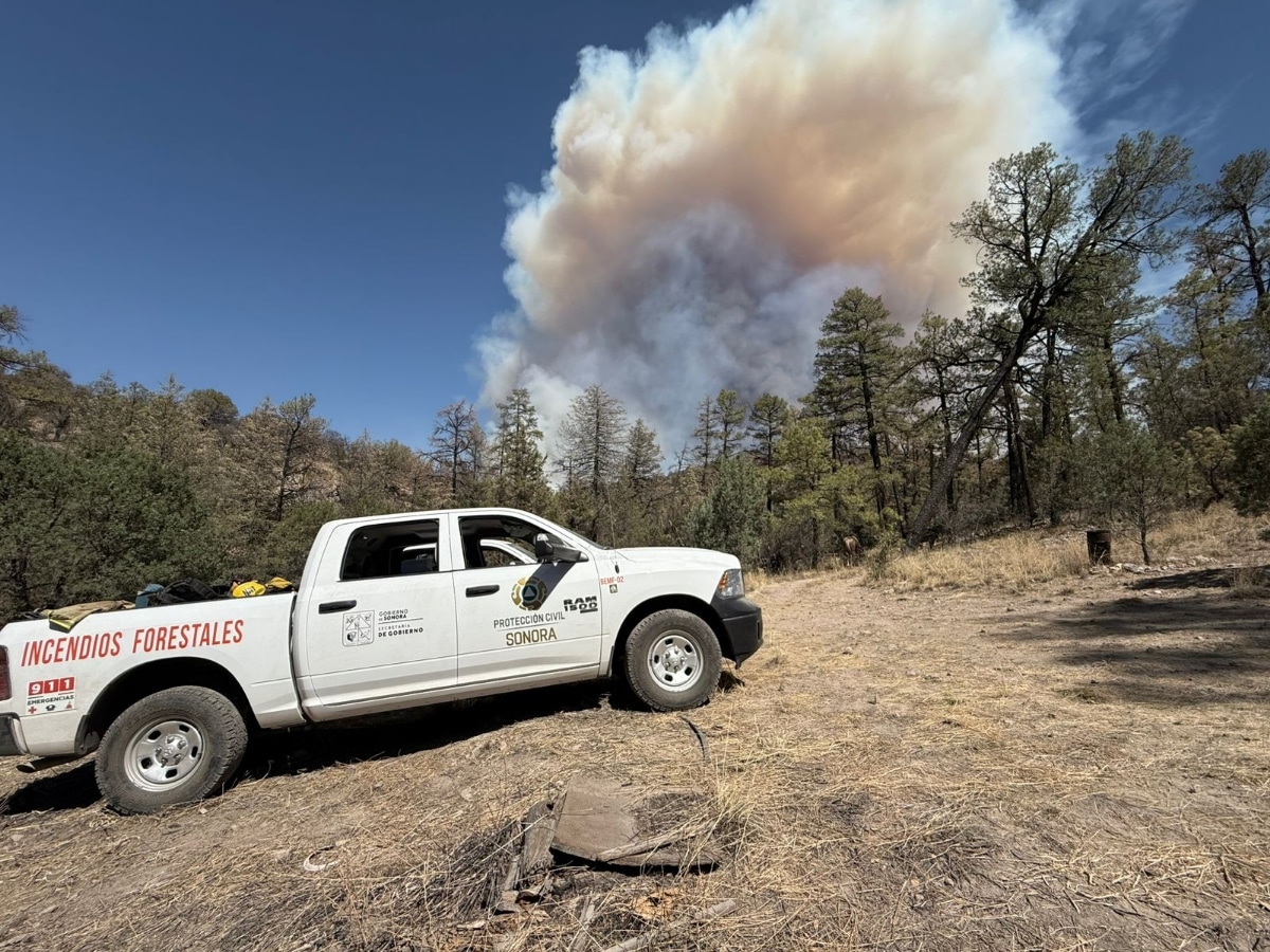 Gobierno de Sonora logra importante avance en el control y liquidación del incendio forestal en Agua Prieta