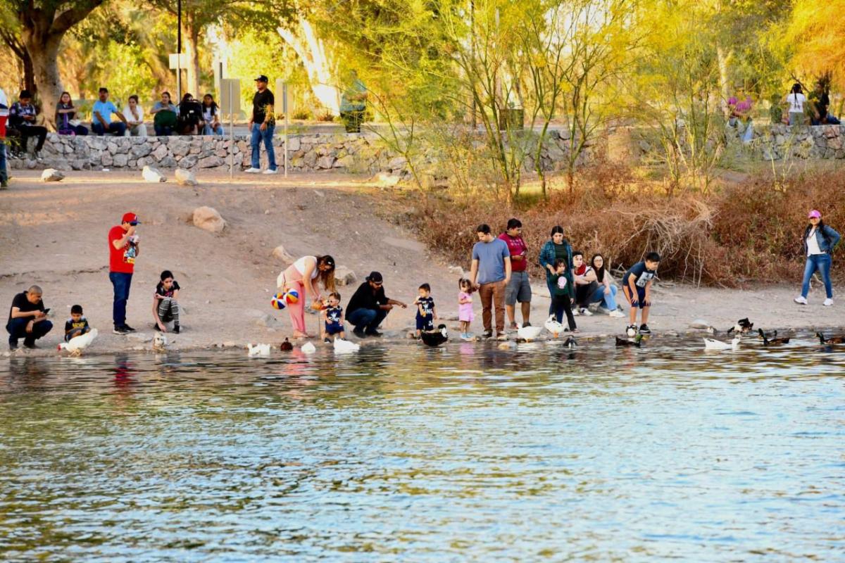 Gobierno de Sonora invita a vivir la naturaleza y el esparcimiento en familia en La Sauceda este fin de semana