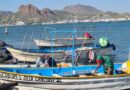 En Guaymas desarrollarán Foro de Pesca Ribereña