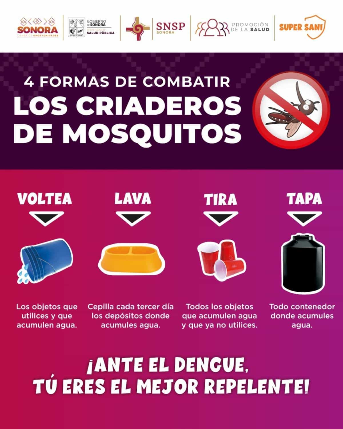Refuerza Gobierno de Sonora acciones para prevenir el dengue durante la temporada de lluvias