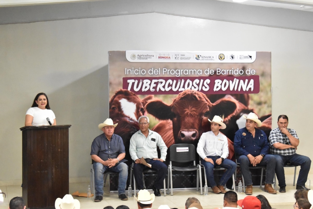 Gobierno de Sonora inicia barrido sanitario para detección de tuberculosis bovina en San Ignacio Río Muerto