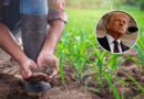 Trump admite impacto de redadas migratorias en agricultores y hoteleros, pero promete intensificar operativos