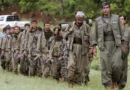 Turquía lanza operativo militar en el norte de Siria para combatir grupos armados
