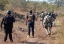 Destruyen 28 artefactos explosivos en diversas localidades de Michoacán