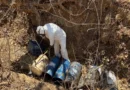 Aseguran químicos para metanfetamina con valor de 31 millones de pesos en Sinaloa