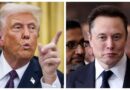 La relación entre Trump y Musk se derrumba entre acusaciones mutuas por el plan fiscal
