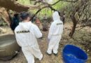 Fuerzas federales desmantelan laboratorio clandestino de metanfetaminas en Huitzilac, Morelos