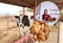 Sheinbaum confirma que no hay fecha para reabrir frontera con EE.UU. para exportación de ganado