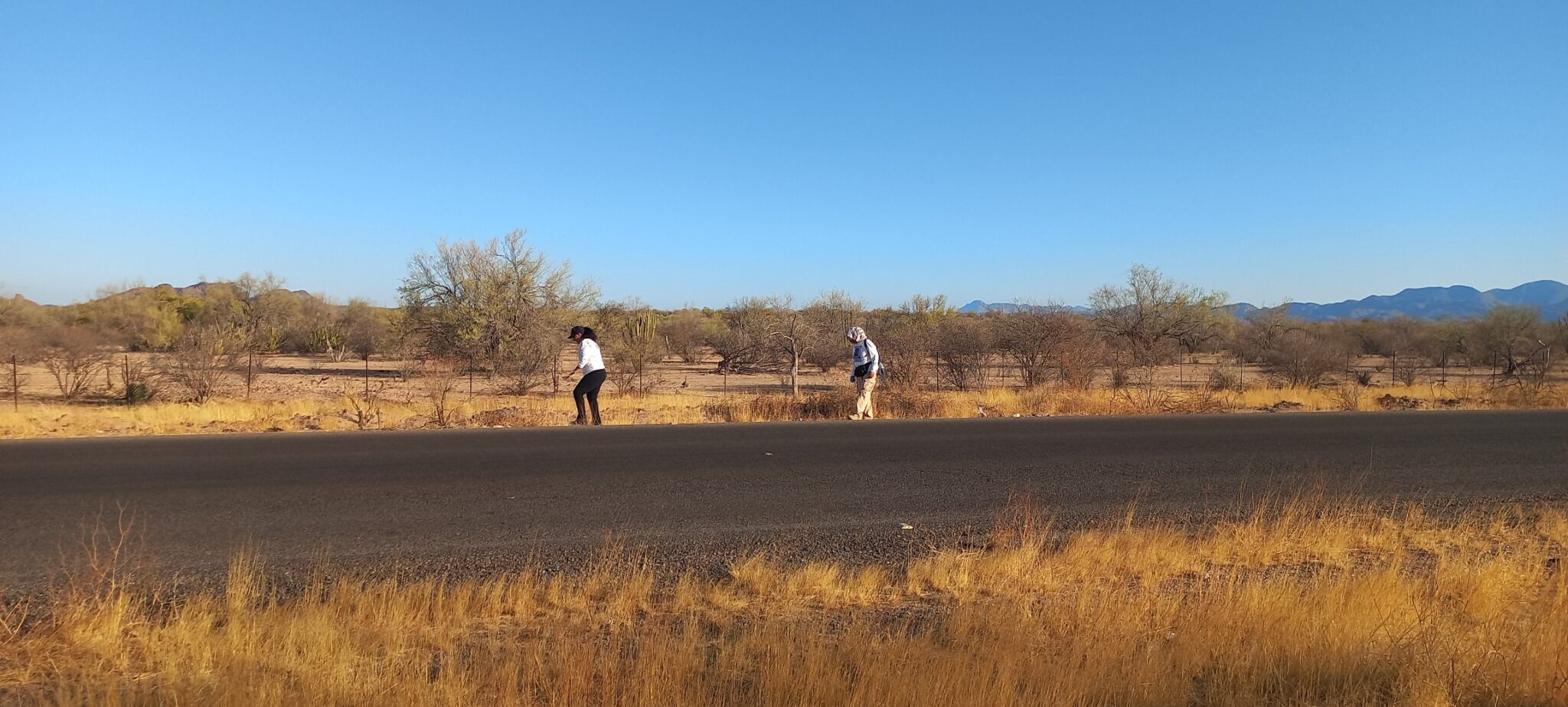Localizan osamenta en carretera ‘4’