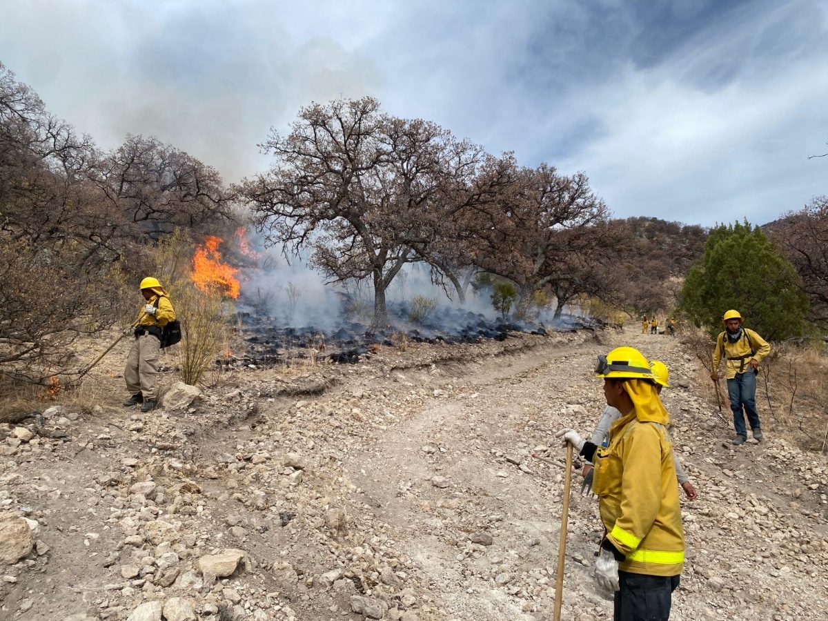 Gobierno de Sonora informa control total de incendios forestales en el estado
