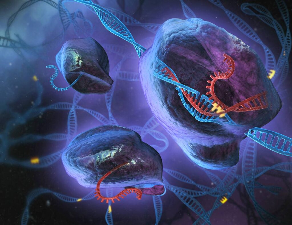 El editor genetico CRISPR explicado para principiantes 1