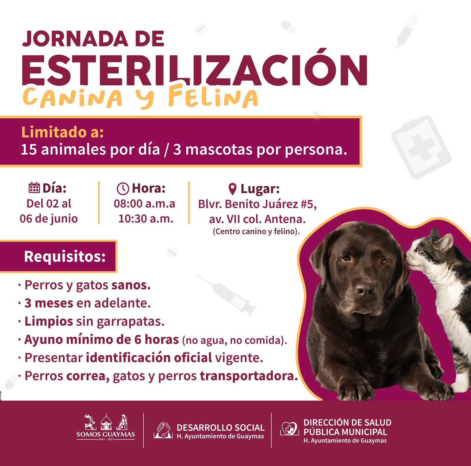 Habrá jornada de esterilización