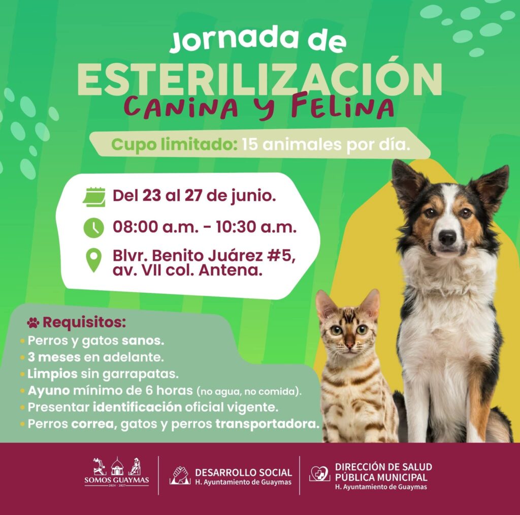 FB IMG 1750460516871