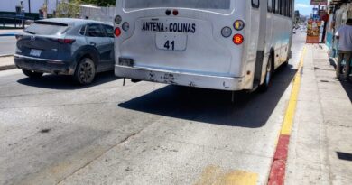 Camiones urbanos, un infierno
