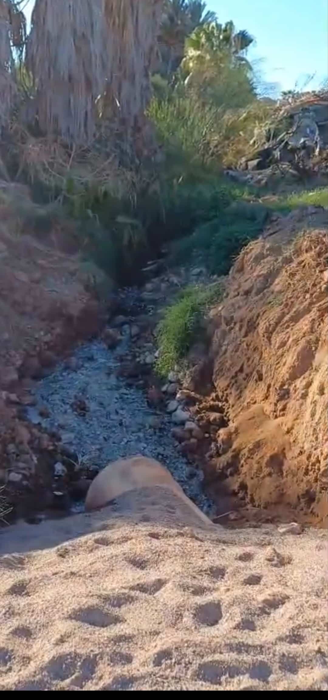 Frenan obra en canal