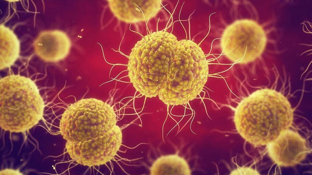 Nuevo antibiótico promete cambiar el tratamiento de la gonorrea resistente 1 TDKQQBNX6BHGXCF3NCXNSZTHNM