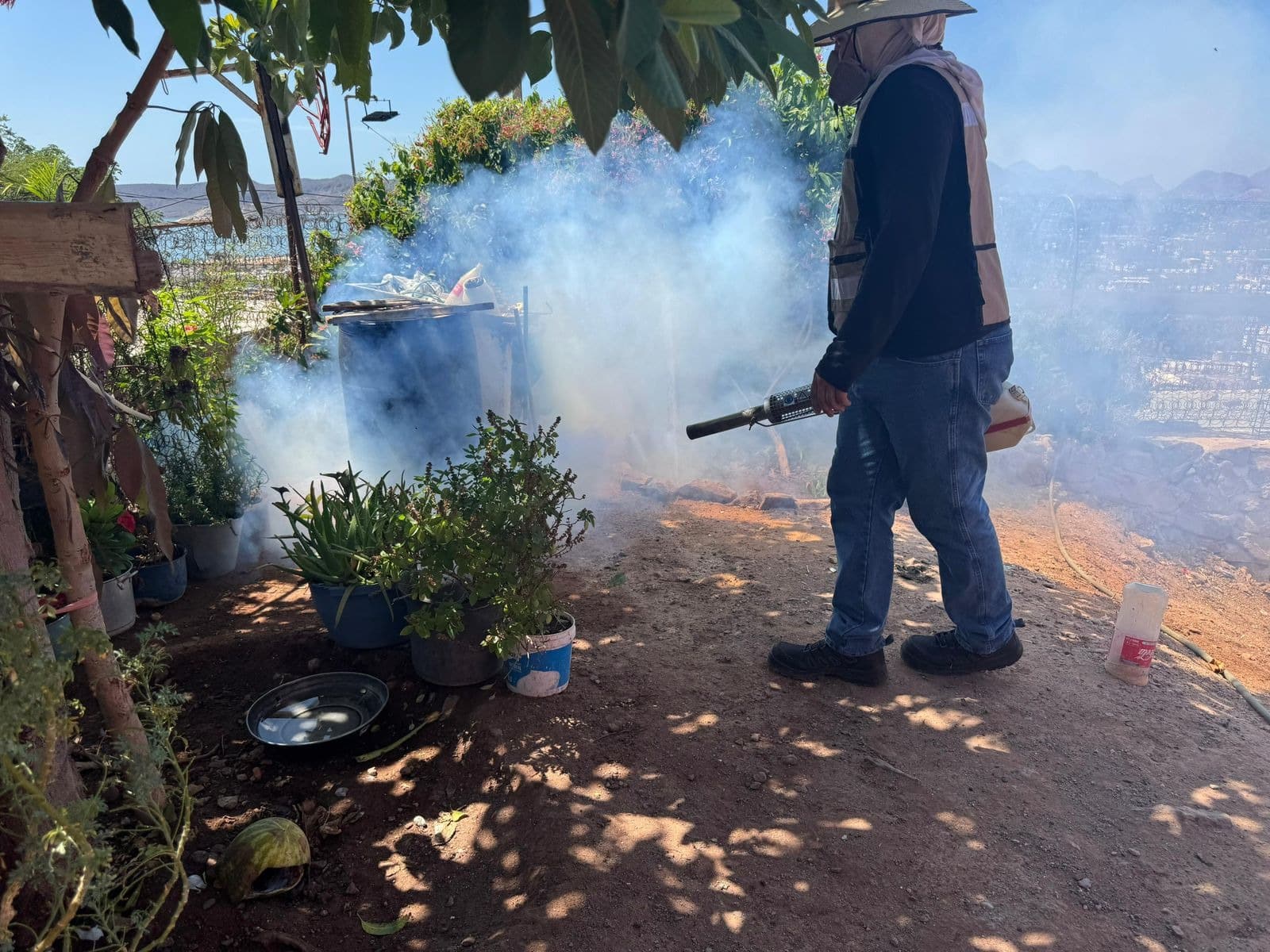 Refuerzan acciones contra el dengue