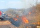 Se incendia predio