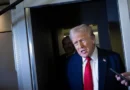 Trump se dice decepcionado de Putin y fija plazo para alto el fuego en Ucrania