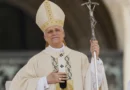 Papa León XIV pide ayuda humanitaria urgente para Gaza en llamada con Mahmud Abas