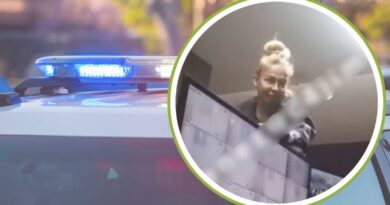 Identifican a la nueva ‘Lady Racista’: mujer peruana agrede a guardias en la CDMX
