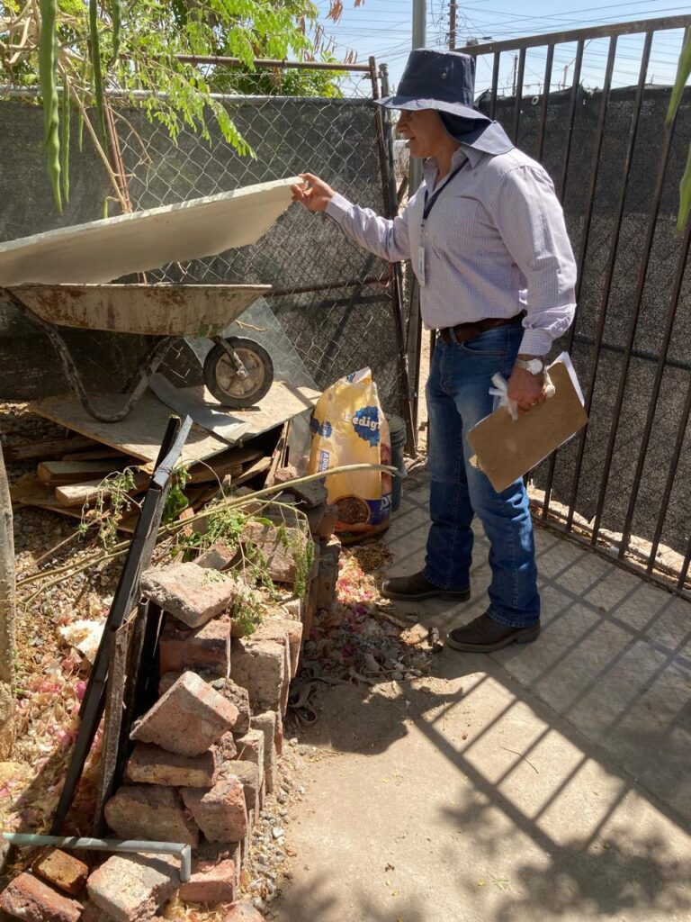 Fortalece Gobierno de Sonora acciones contra el dengue 1 146 1