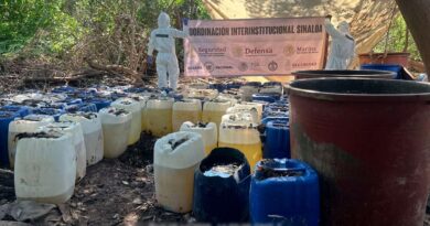 Desmantelan seis laboratorios clandestinos en Sinaloa; aseguran más de 4 toneladas de metanfetamina