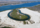 Destruyen manglares en Sinaloa para proyecto turístico privado