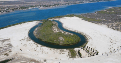 Destruyen manglares en Sinaloa para proyecto turístico privado