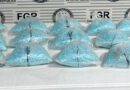 Aseguran 200 000 pastillas de fentanilo tras inspección de autobús en Sonora