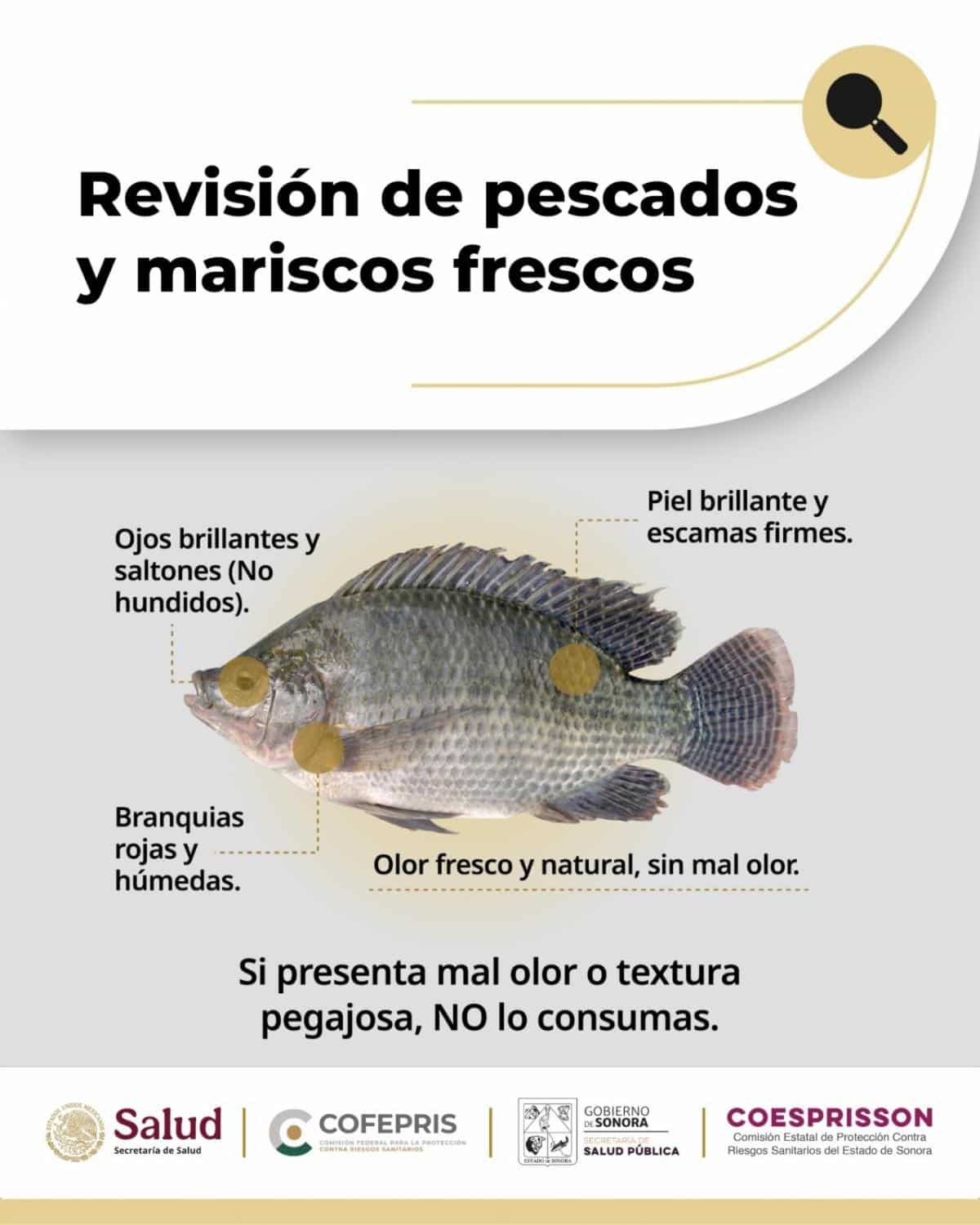 Invita Gobierno de Sonora a consumir mariscos de forma segura durante la temporada de calor