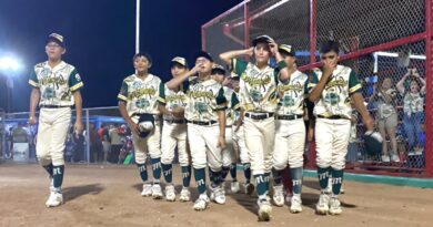 Matamoros y Swing Perfecto van por el campeonato y boleto a Williamsport