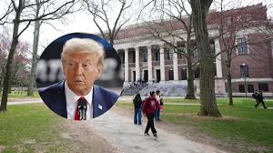ICE exige a Harvard entregar documentos de estudiantes extranjeros para cumplir leyes migratorias