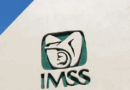 Detienen a guardia del IMSS por violencia contra mujer
