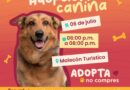 Habrá adopción canina y felina este domingo en el malecón