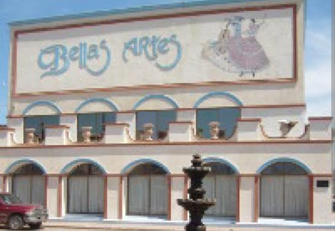 Roban en Bellas Artes