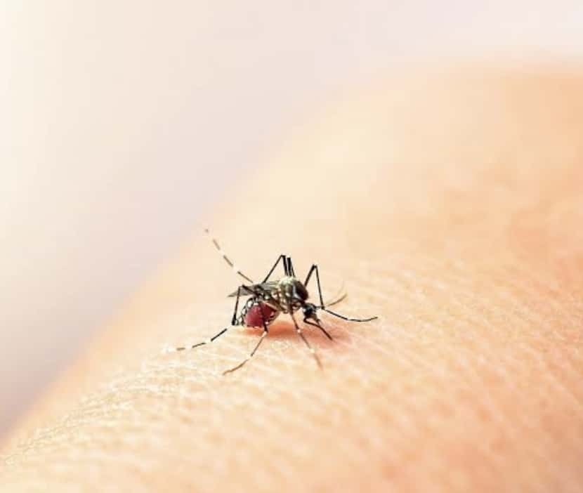 Screenshot 20250714 160416 com.android.chrome