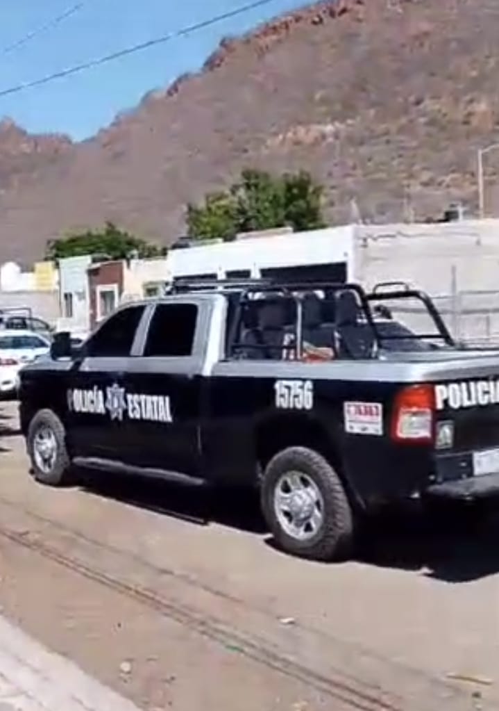 Screenshot 20250714 160452 com.hihonor.photos