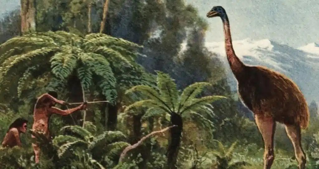 WbXCIhXiI 1300x655 2