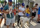 Se promueve adopción de mascotas