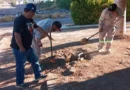 Anuncia CEA corte a usuarios morosos