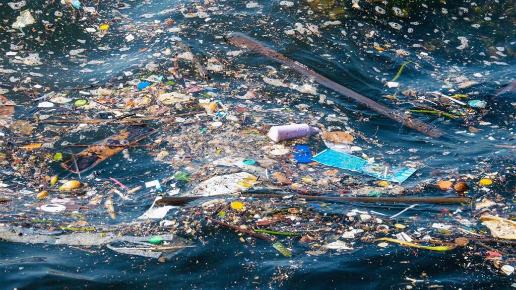 La contaminación en los mares una amenaza silenciosa para la vida marina y el futuro del planeta 1 plasticos