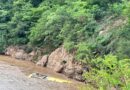 Ocho muertos tras caída de autobús a un río Guerrero