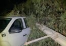 Provoca daños tormenta en Guaymas