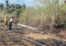 Controlan incendio forestal en el Tular