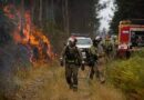 La peor ola de incendios en la historia reciente de España devasta 400 mil hectáreas